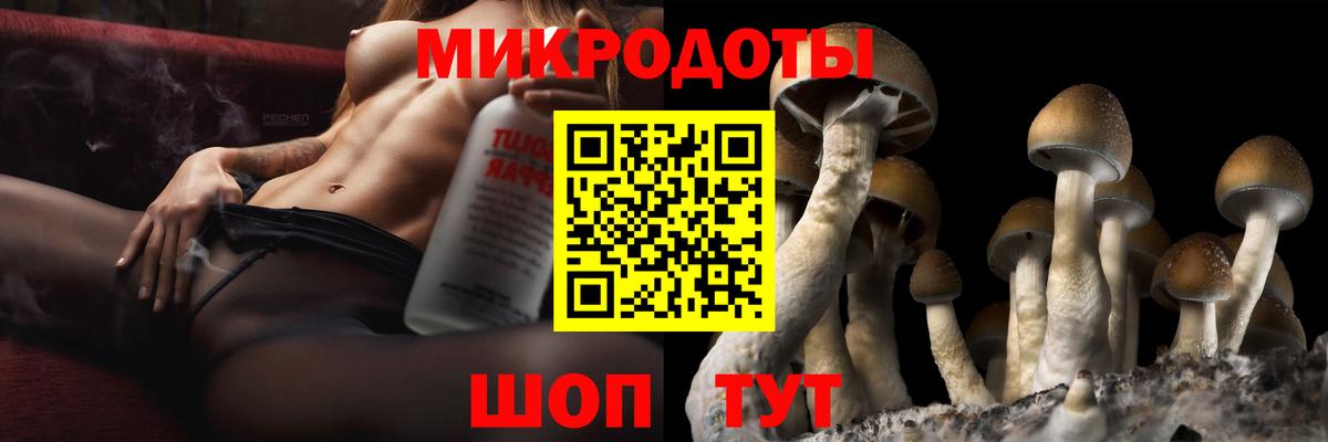 Галлюциногенные грибы MAGIC MUSHROOMS  Псилоцибиновые грибы мицелий  Вход с VPN  где продают   Междуреченск 